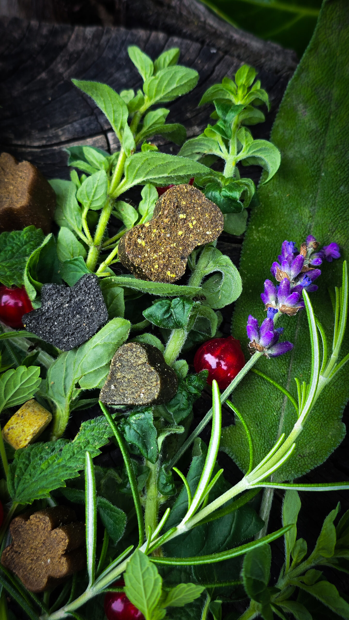 Kaltgepresste Soft-Drops in verschiedenen Formen auf Bett aus Kräutern, garniert mit Lavendel und roter Johannisbeere