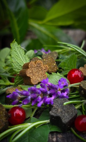 Kaltegepresste Soft-Drops auf Bett aus Kräutern, verziert mit Lavendel und roter Johannisbeere