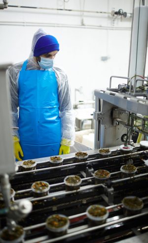 Lebensmittel Techniker in Schutzkleidung begutachtet die Produktion von Ergänzungsfuttermittel auf dem Fließband