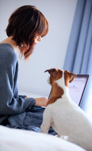 photo of beautiful young woman with laptop near her dog on the wonderful bed
